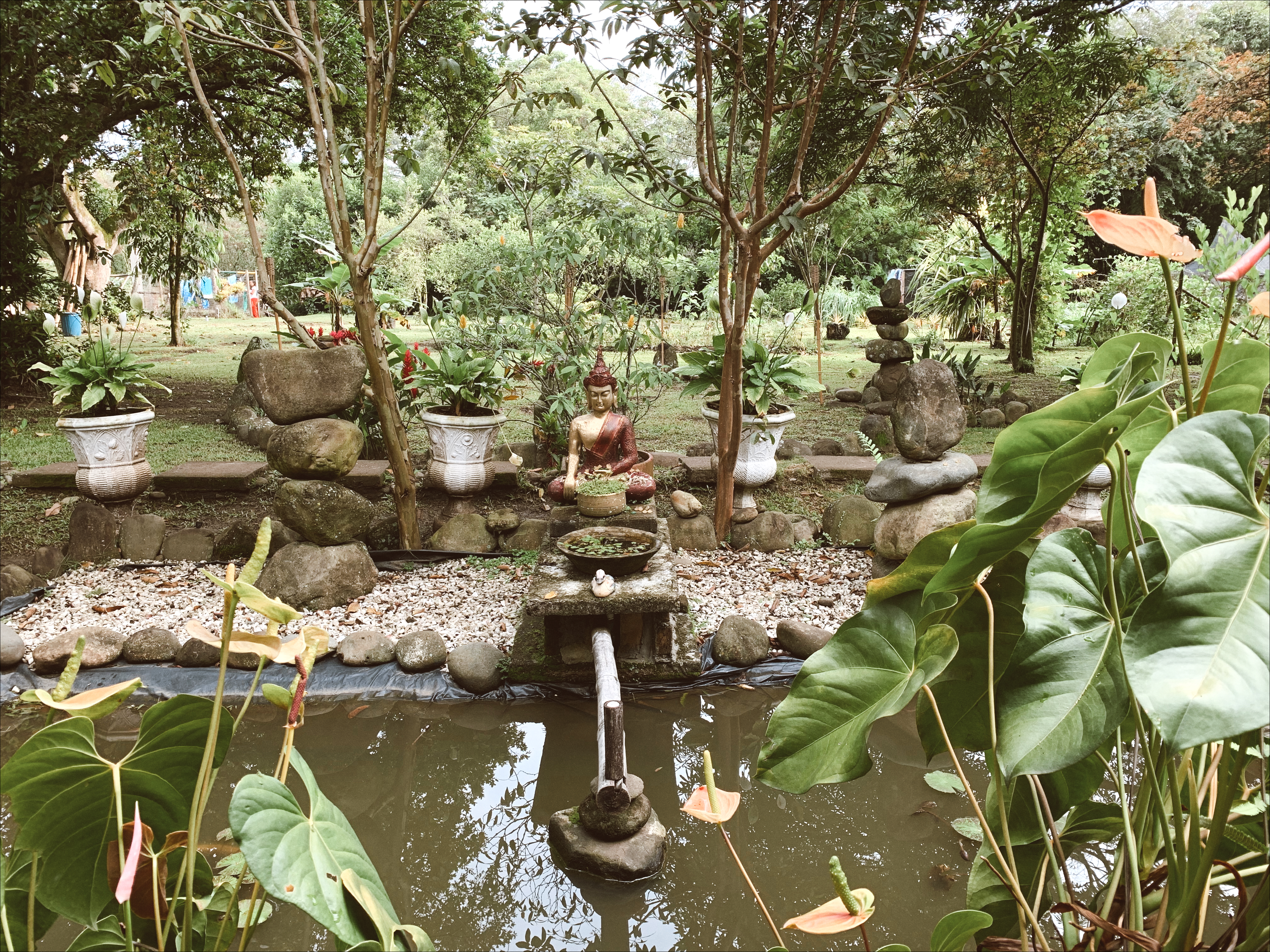 Buddha shrine and lily pond at Ishka Center