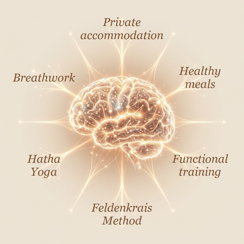 Mind map of wellness services
